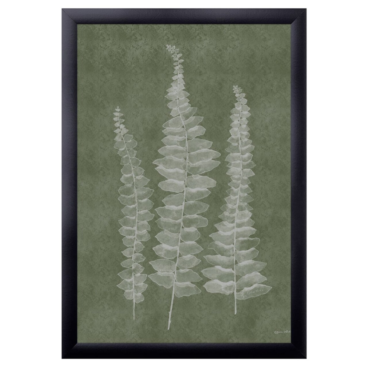 12" x 16" Woodland Ferns I Framed Wall Art, Contemporary Nature Home Décor, Glass Facing and Hanging Hardware Included